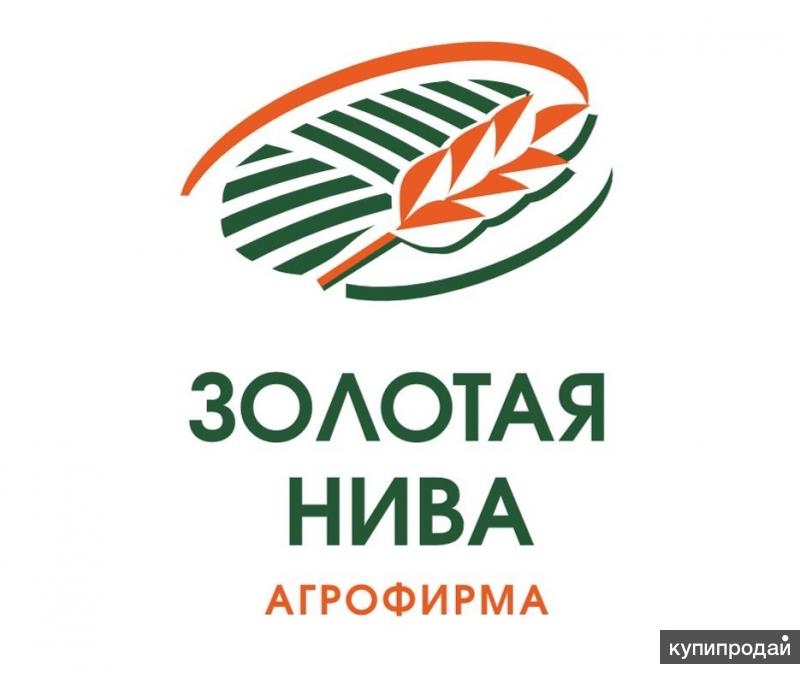 ООО "Золотая Нива"